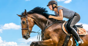 Equestrian Products